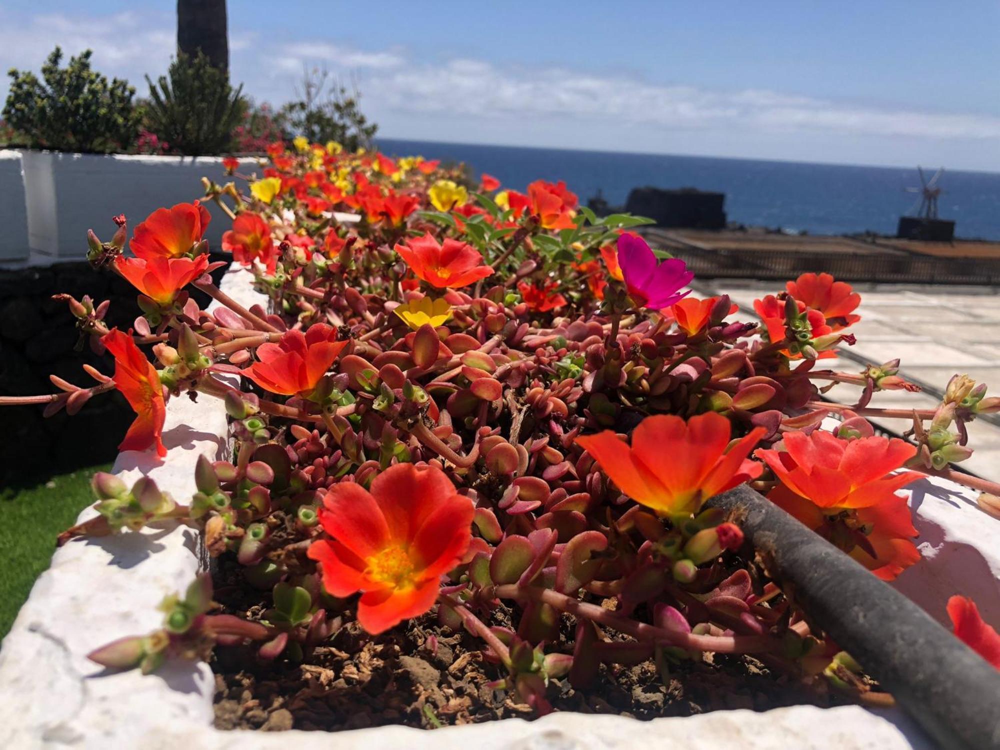 Vivienda Vacacional Sal Y Mar Playa Cancajos na wyspie la Palma Zewnętrze zdjęcie